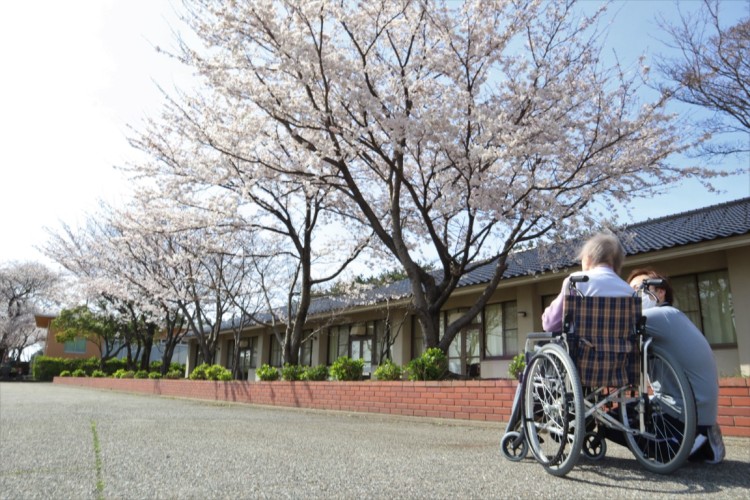 お花見の様子