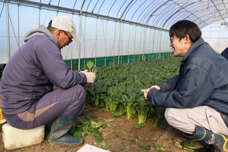 営農指導員のほ場の巡回