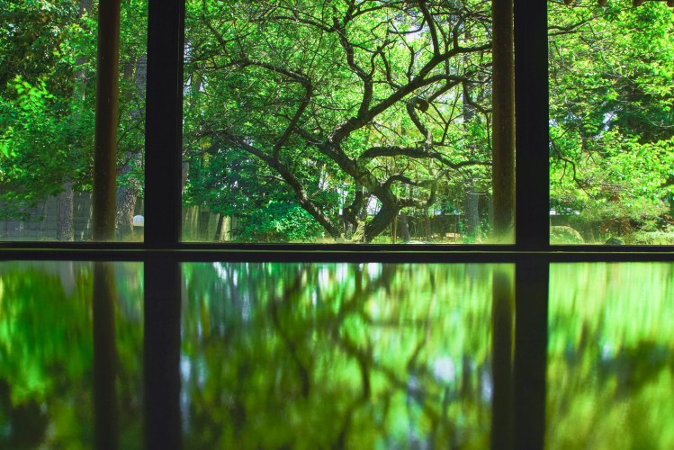 上杉謙信公が発見したという言われのある鉱泉です。体が芯から温まって汗が止まらなくなると好評です。スタッフさんもお入りいただけます。