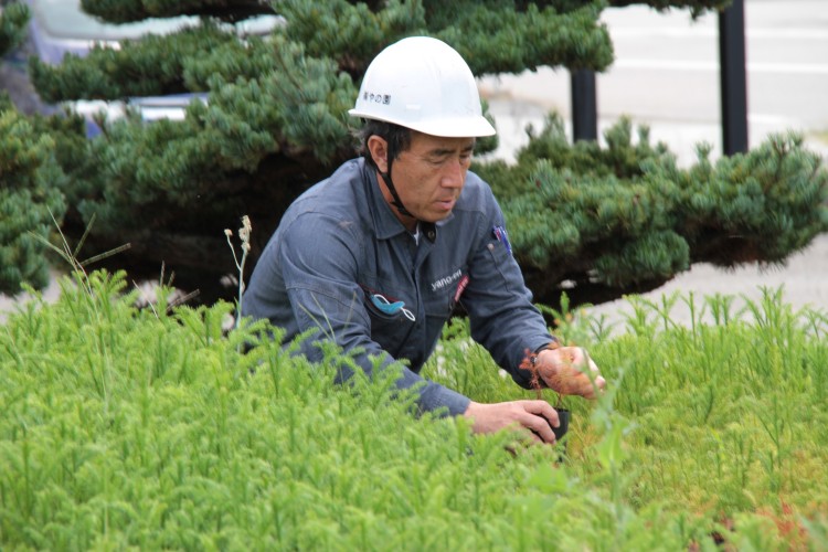 緑あふれる豊かなまちづくり