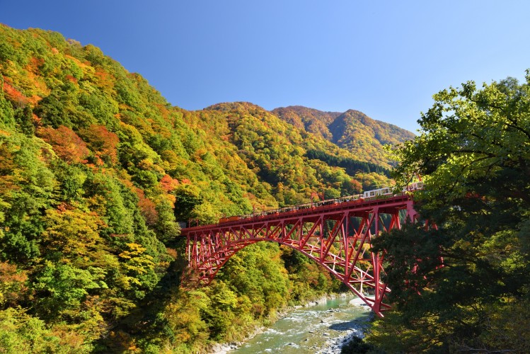 黒部峡谷鉄道株式会（紅葉）